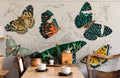 Various Butterflies ll Wallpaper Mural