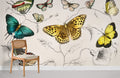 Various Butterflies Wallpaper Mural
