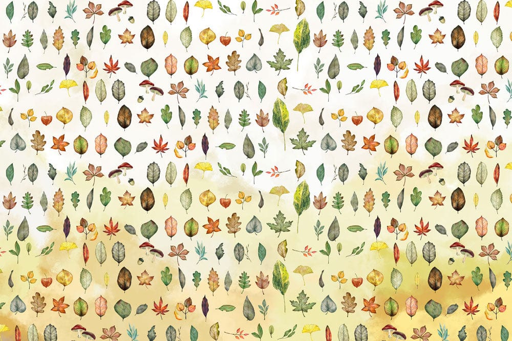 Various Leaves Collection Wallpaper Mural