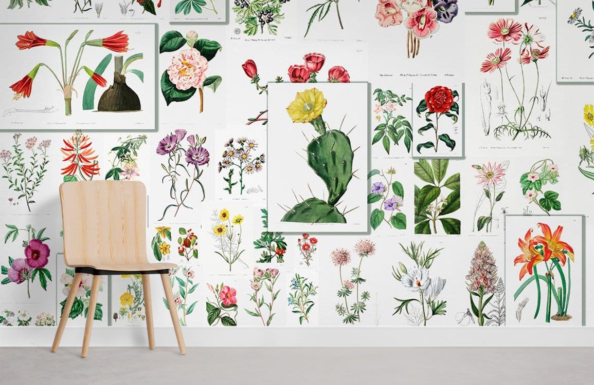 Vintage botanical floral mural wallpaper in colourful nature-inspired design, with light wooden chair on grey floor.