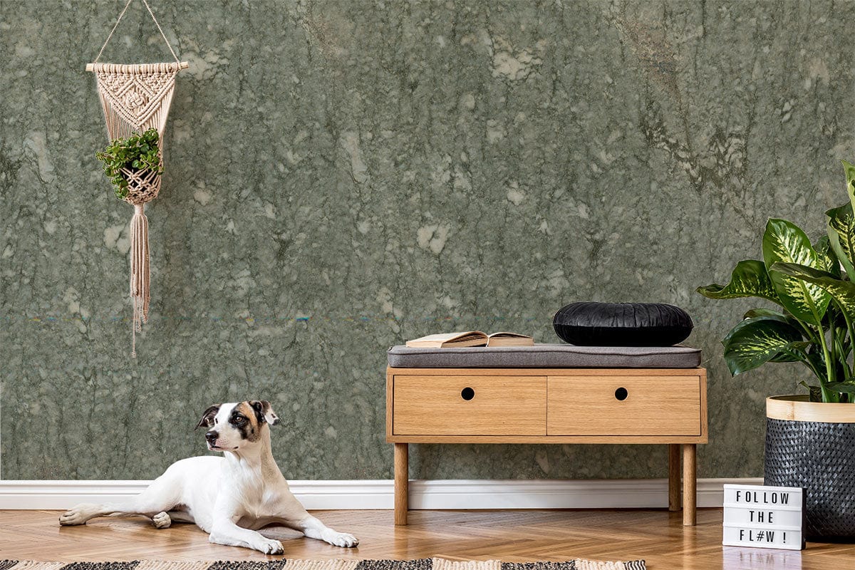 Forest Green rustic stone textured wallpaper, wooden console, dog, macramé wall decor, natural living room.