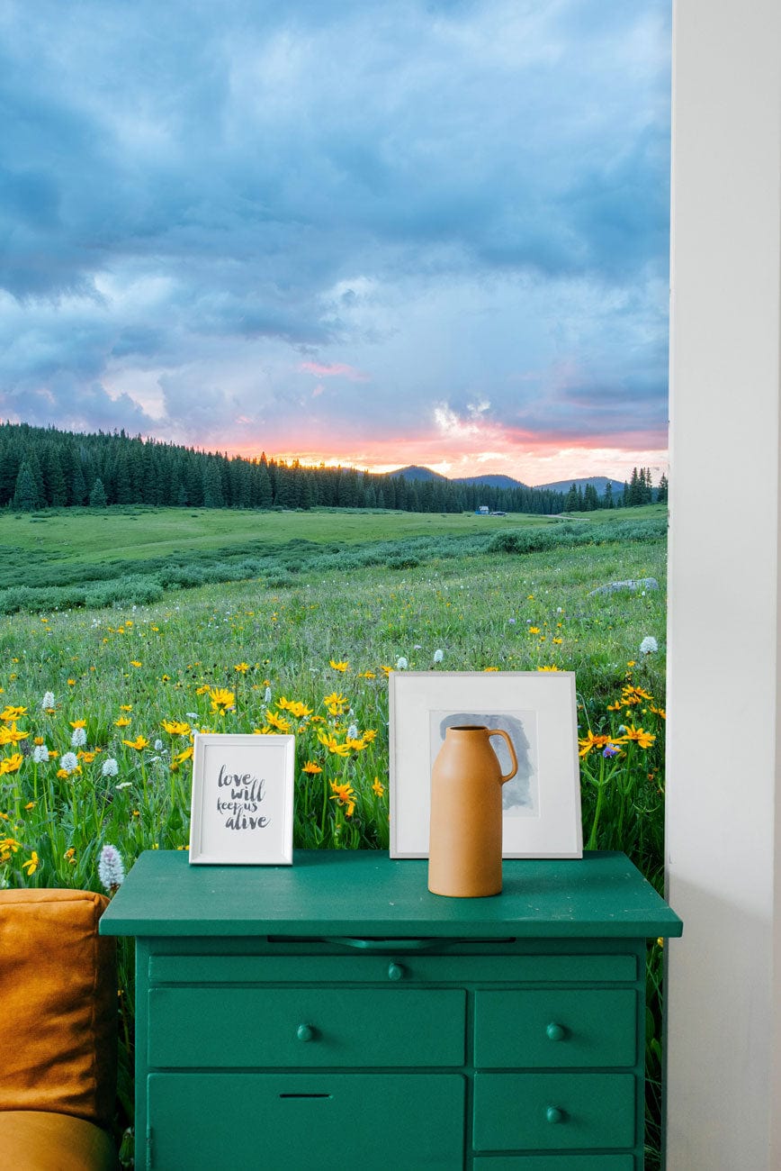 Tranquil Meadow Sunshine mural with emerald green cabinet, golden sofa, and scenic landscape background.