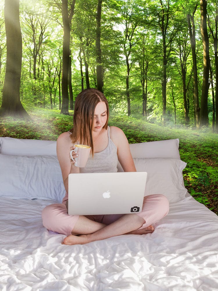 Tranquil Forest Green Mural Wallpaper, sunlit woodland scene, bedroom decor, white bedding, cosy atmosphere.