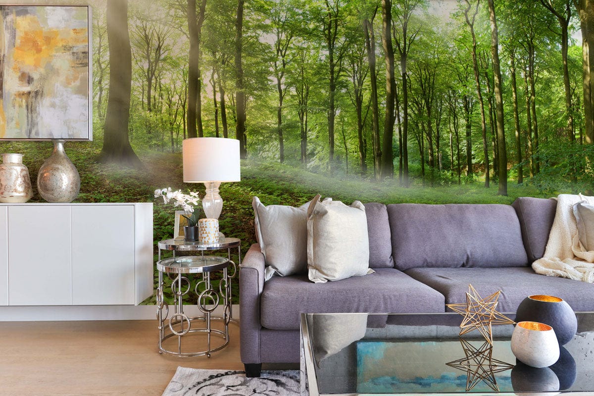 Tranquil Forest Green Mural Wallpaper, sunlit woodland scene, complements grey sofa, stylish living room.
