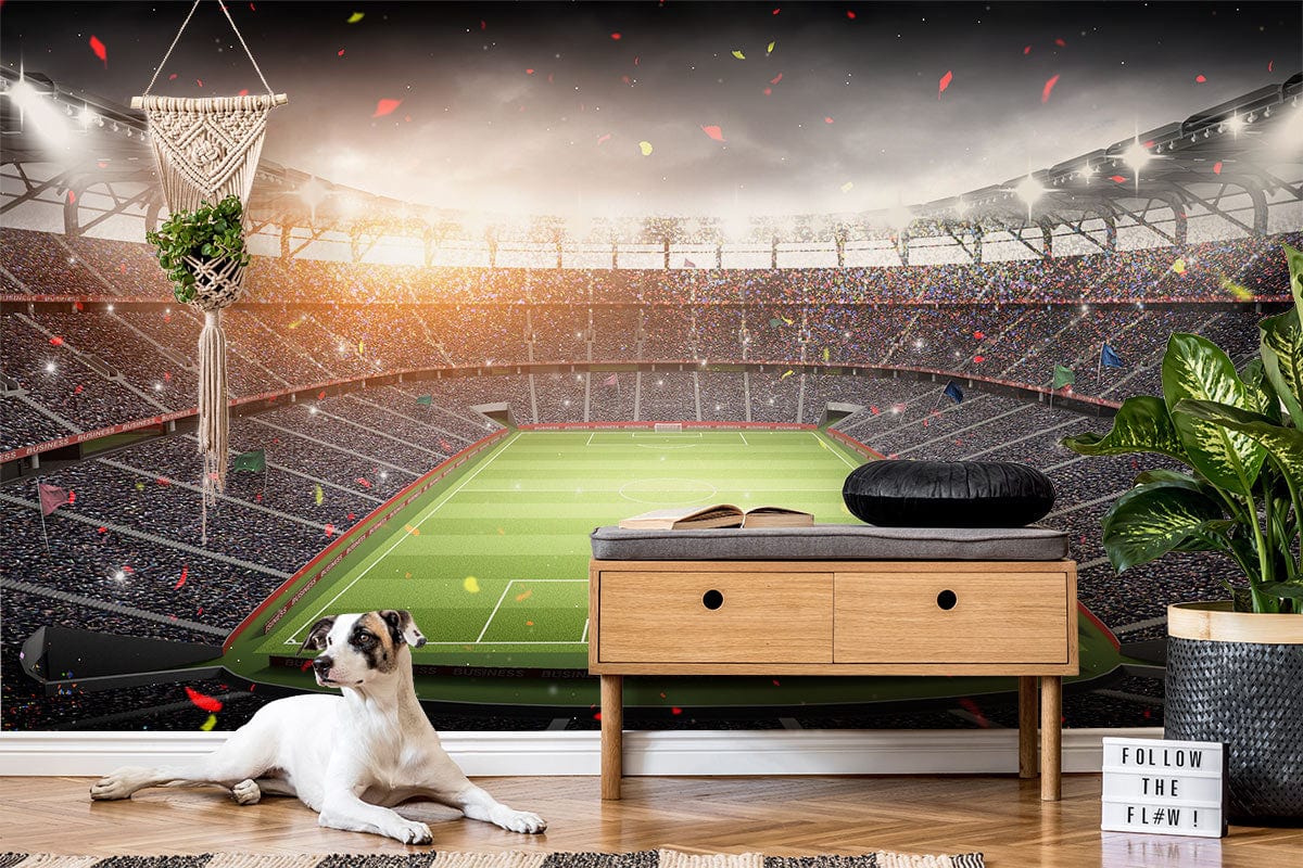 Vibrant stadium mural wallpaper in living room with wooden console, dog, macramé, and green plants.