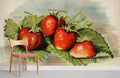 Vintage Strawberry Wallpaper Mural