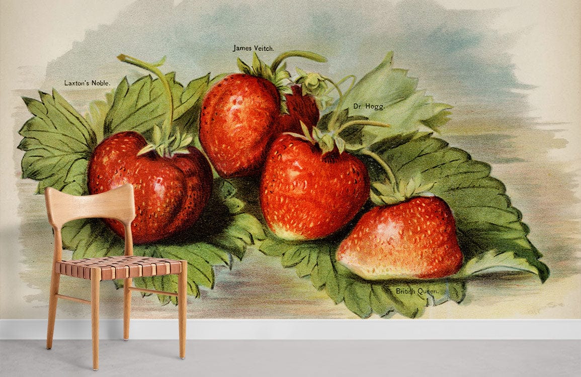 Vintage Strawberry Botanical Mural Wallpaper with wooden chair, grey flooring, vibrant greenery style decor.