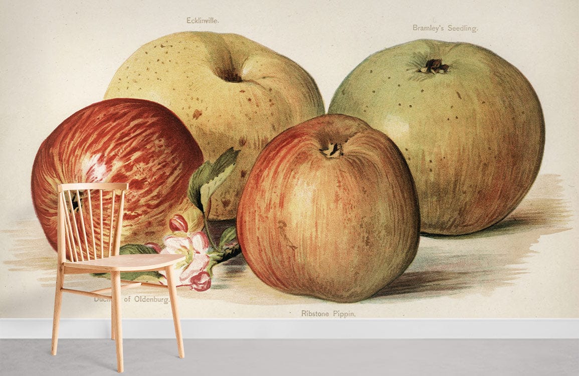 Vintage Apples Photo Murals Room