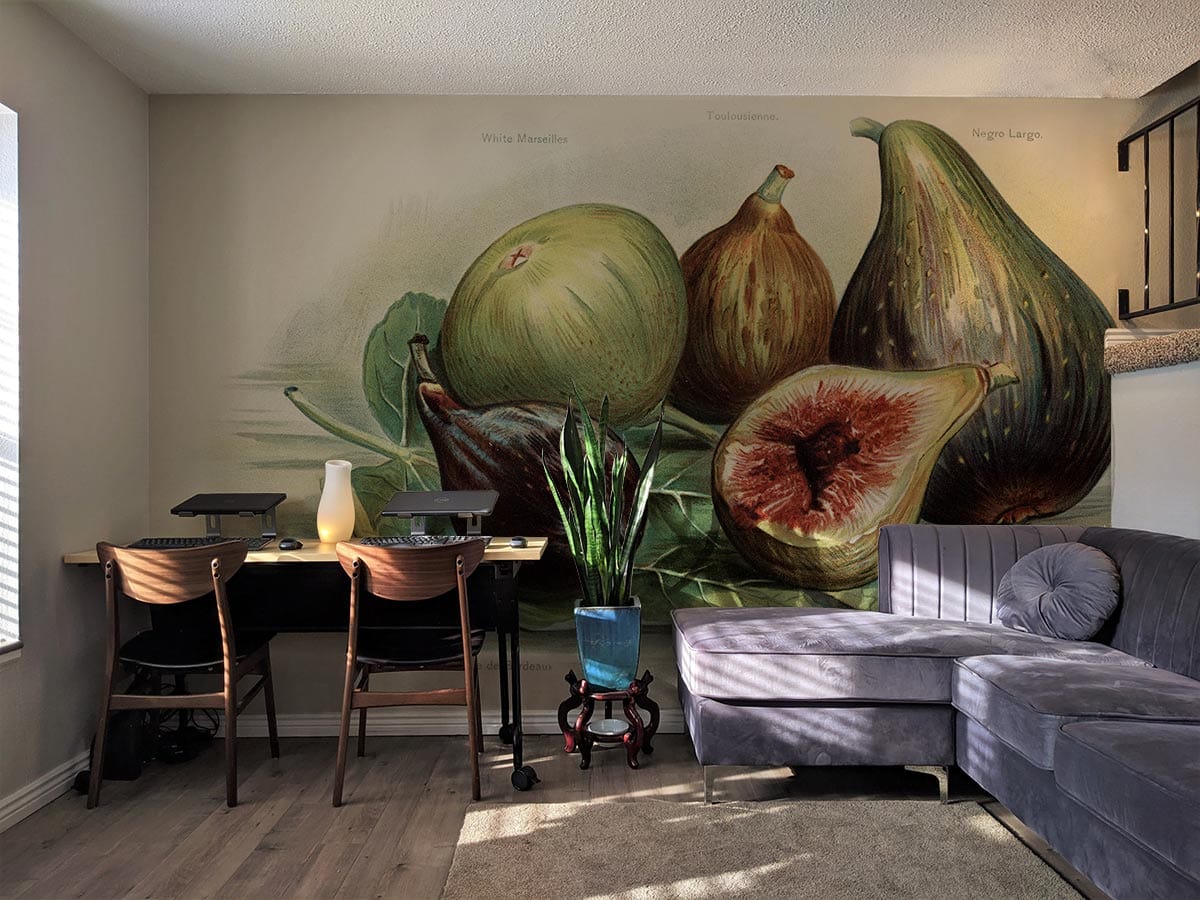 Vintage Botanical Fig Mural Wallpaper, earthy tones, grey corner sofa, wooden flooring, home office setting.