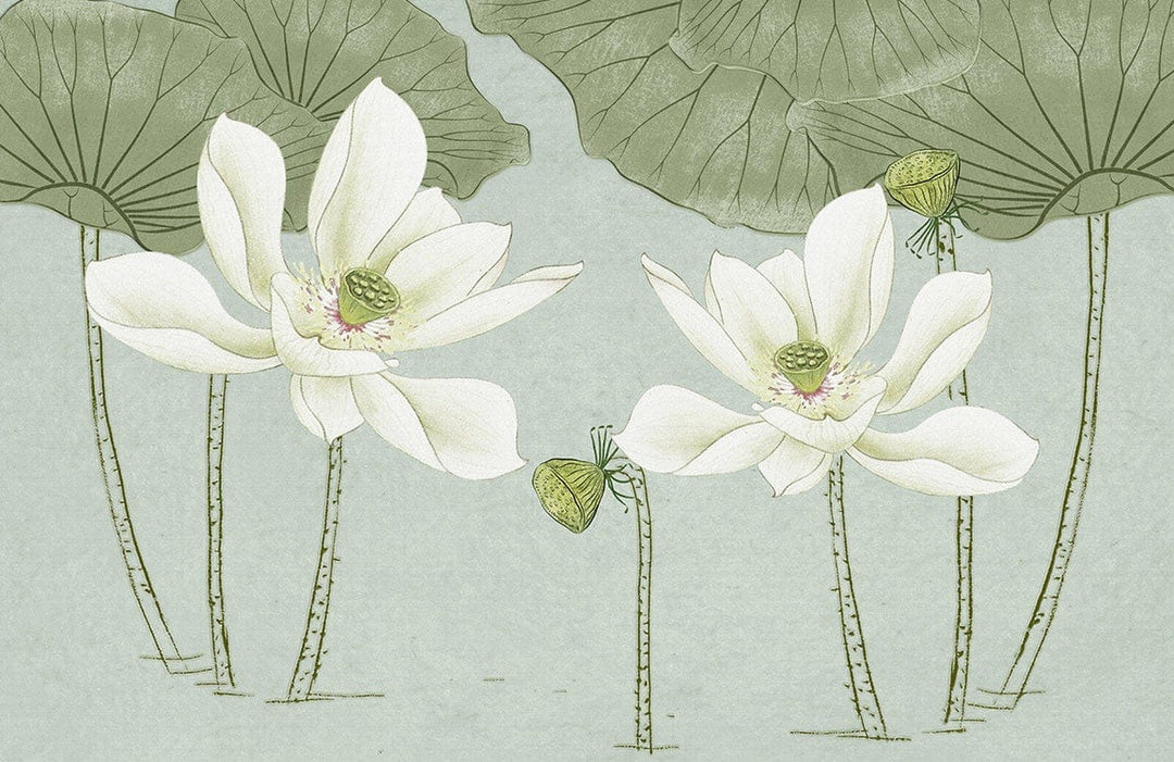 Elegant Green Lotus Flower Mural Wallpaper - Serene Botanical Design Decor