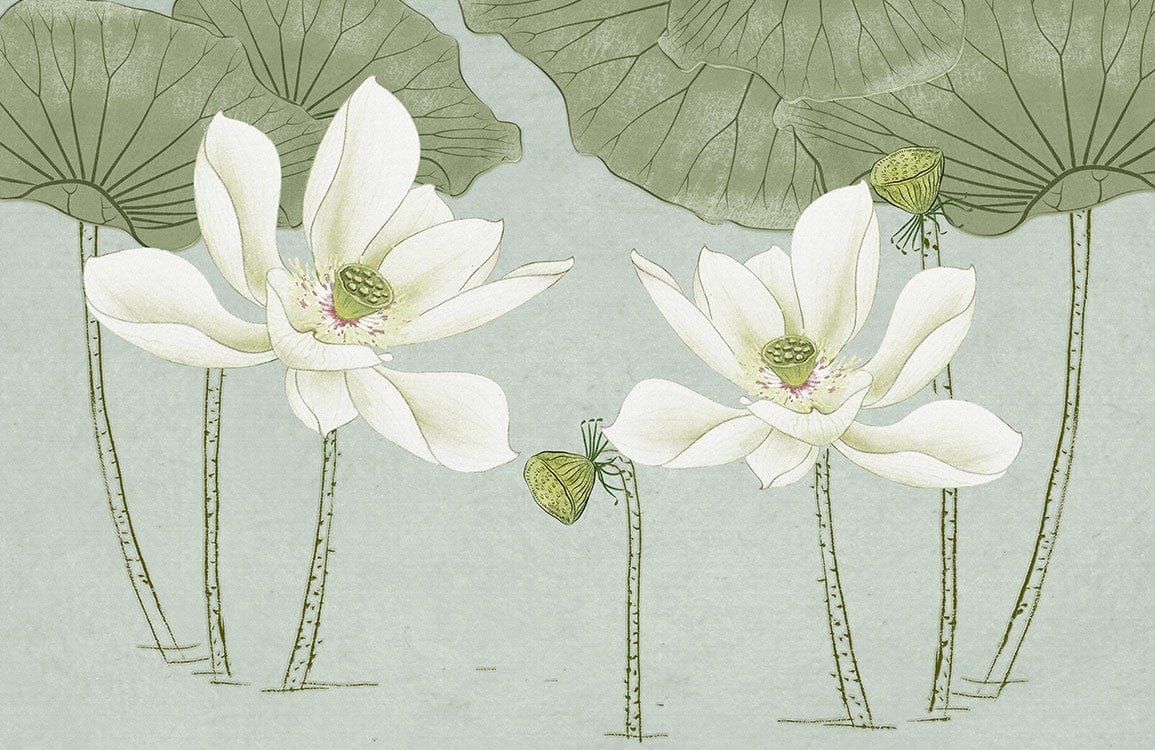 Elegant Green Lotus Flower Mural Wallpaper - Serene Botanical Design Decor