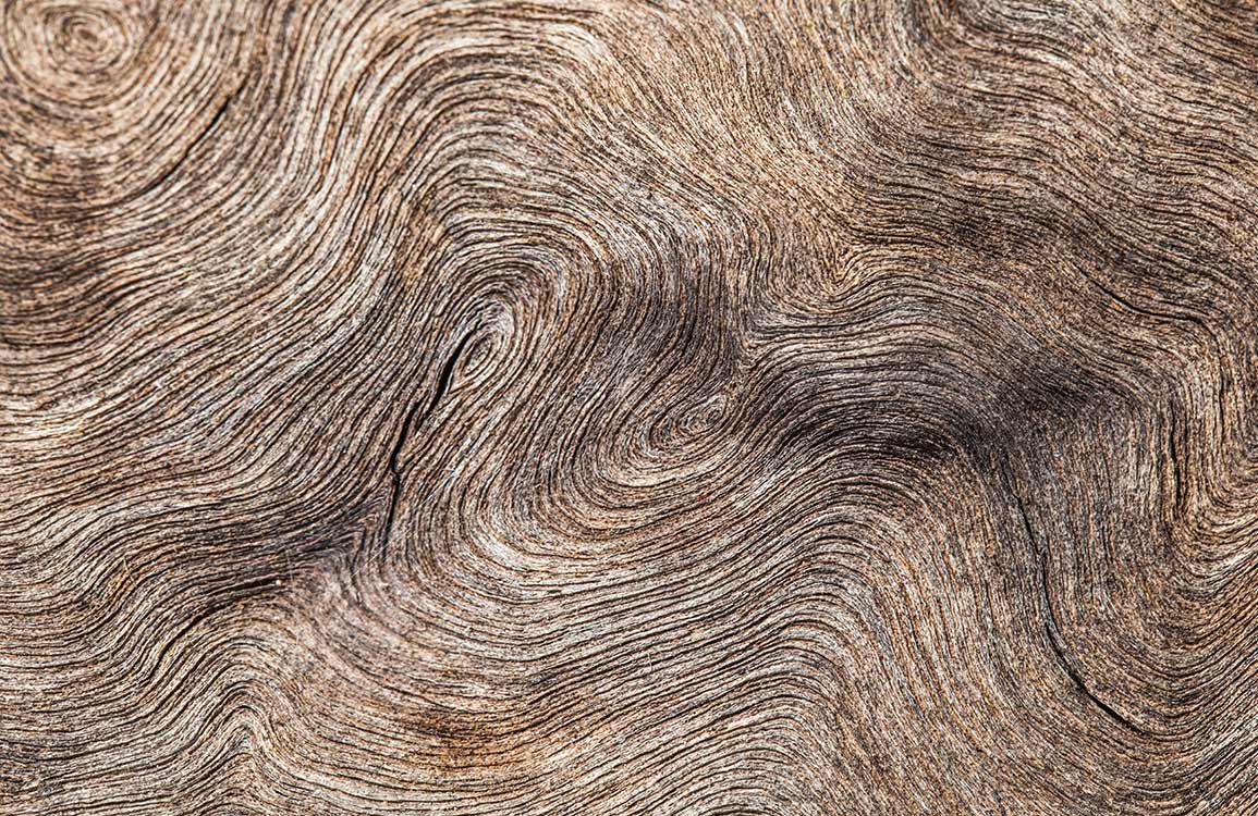 Rustic Wood Grain Texture Wallpaper - Earthy Brown Nature-Inspired Design