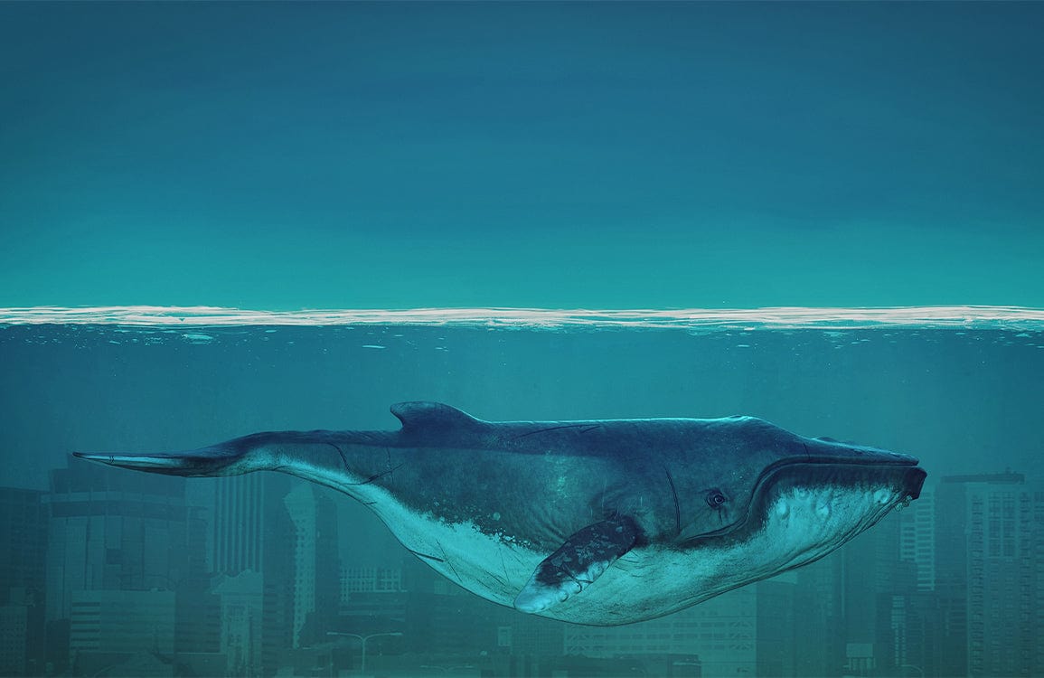 Majestic Blue Whale Ocean Mural Wallpaper for Contemporary Urban Spaces