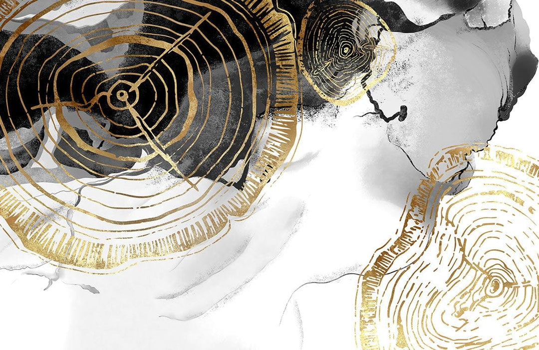 Elegant Gold and Black Abstract Tree Rings Modern Mural Wallpaper Design