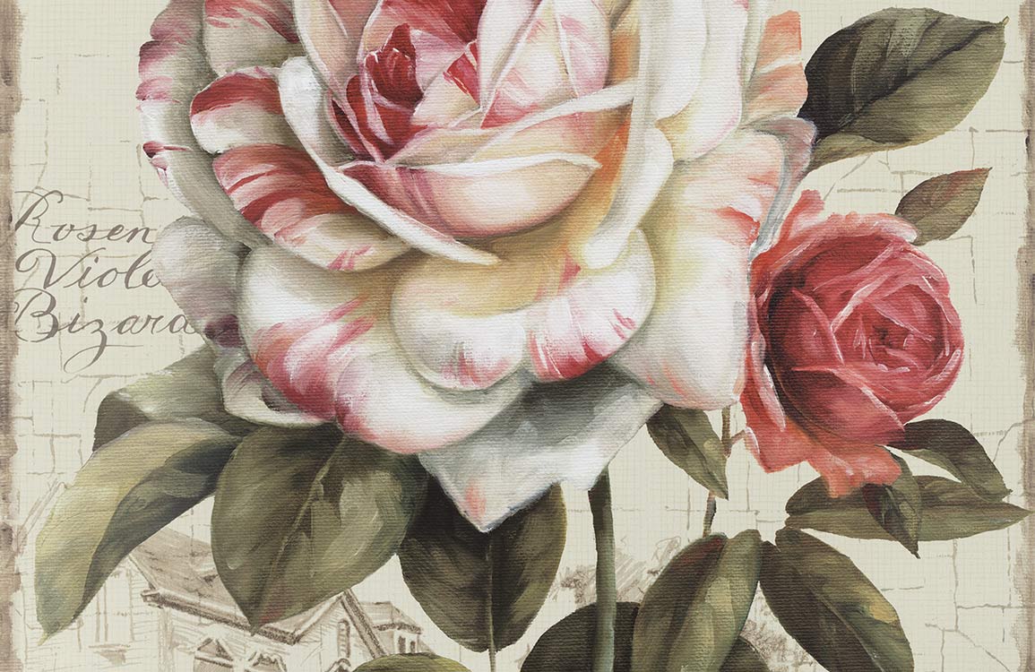 Vintage Romantic Rose Garden Mural Wallpaper with Pink and Cream Blooms Design