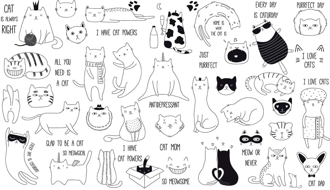 Playful Black and White Cat Lover's Mural Wallpaper for Bedrooms
