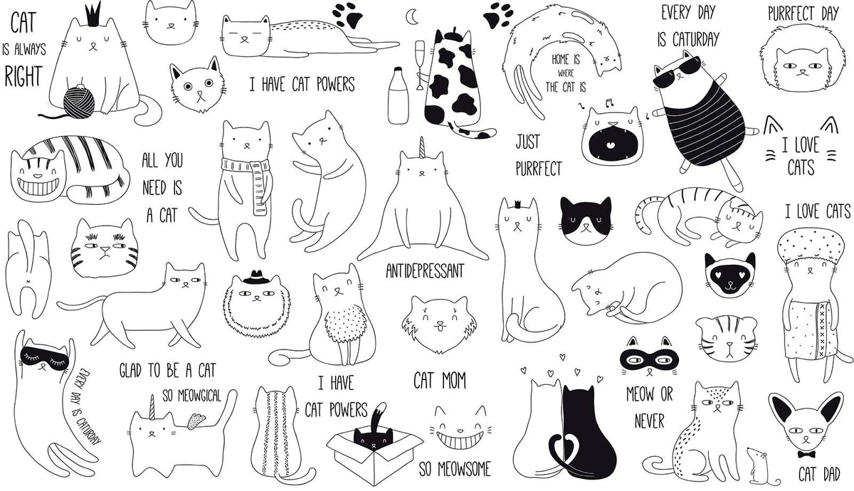 Playful Black and White Cat Lover's Mural Wallpaper for Bedrooms