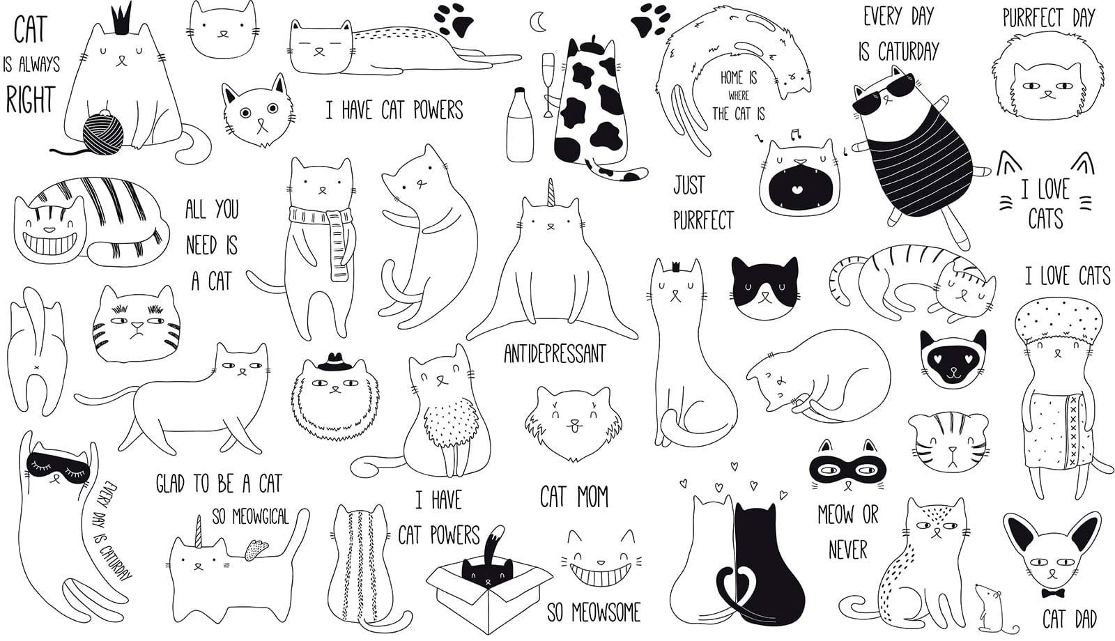 Playful Black and White Cat Lover's Mural Wallpaper for Bedrooms