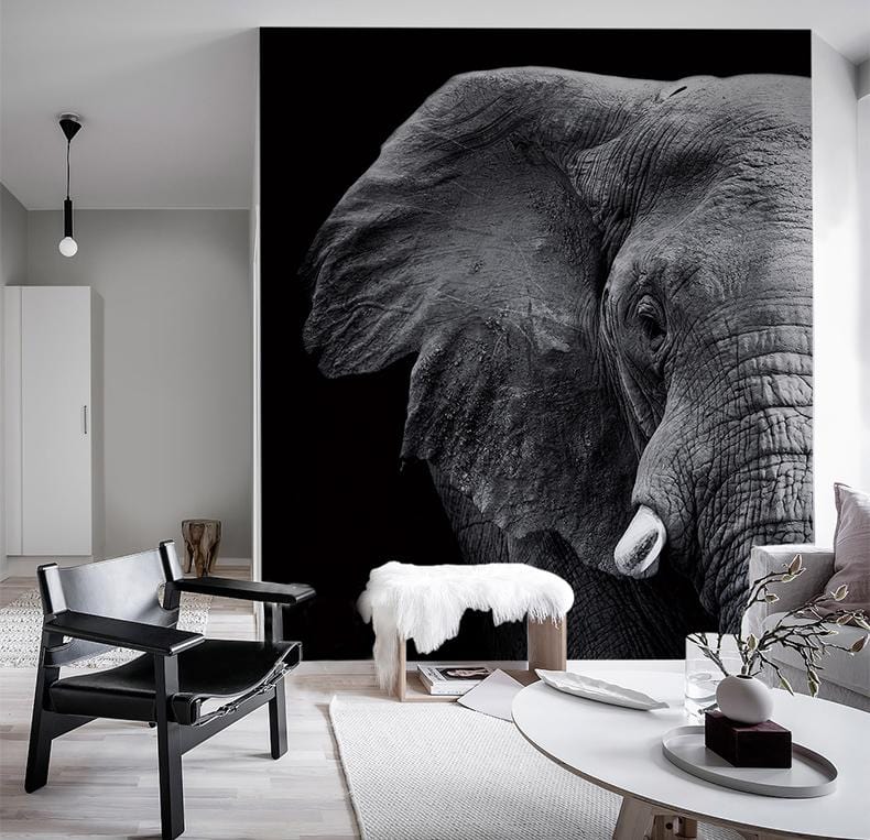 Elegant elephant mural wallpaper in modern lounge, monochrome theme, with black chair and light flooring.