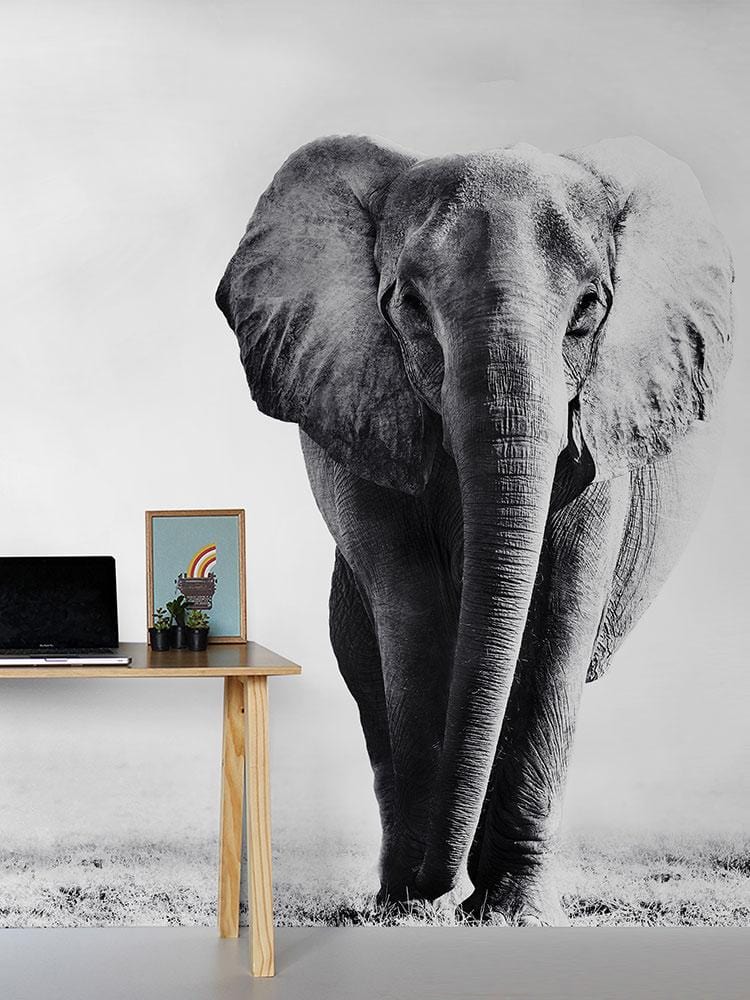 Elegant Elephant Monochrome Safari Mural Wallpaper in room with wooden desk, black laptop, stylish decor.