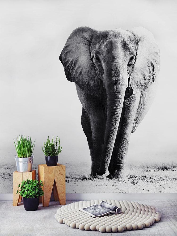 Elegant Elephant Monochrome Safari Mural Wallpaper, modern grey carpet flooring, stylish interior decor.