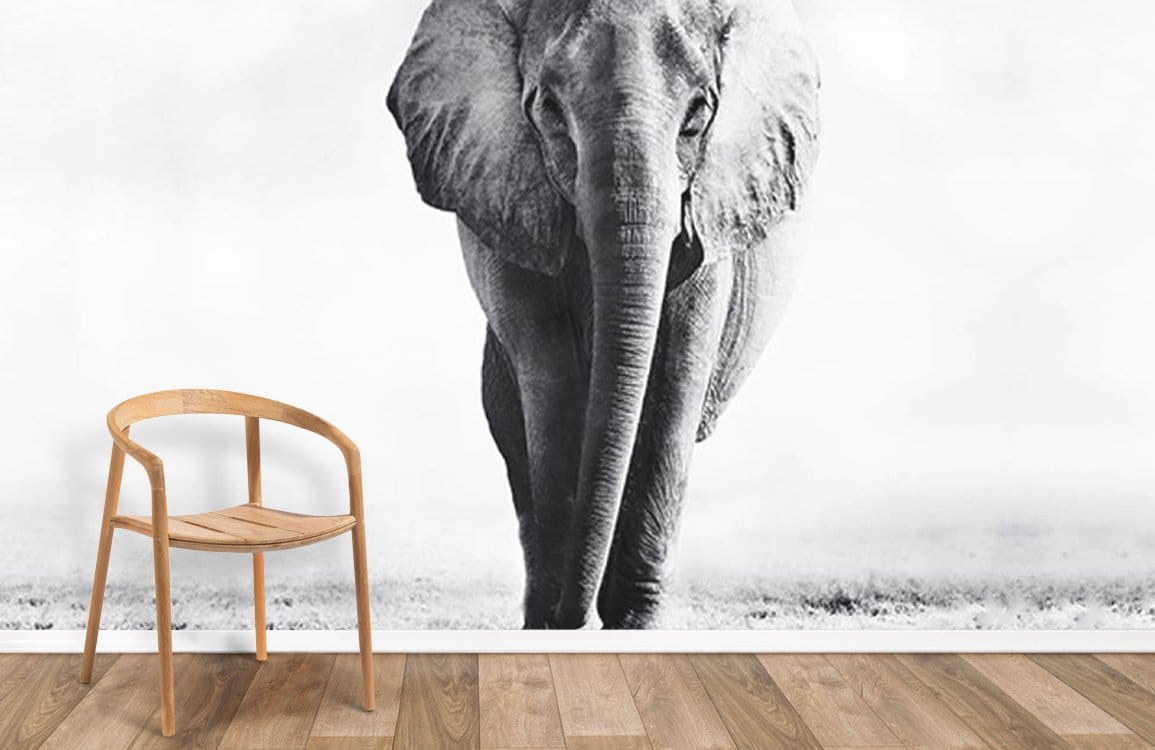Elegant Elephant Monochrome Safari Mural Wallpaper with minimalist wooden chair, hardwood flooring in modern interior.