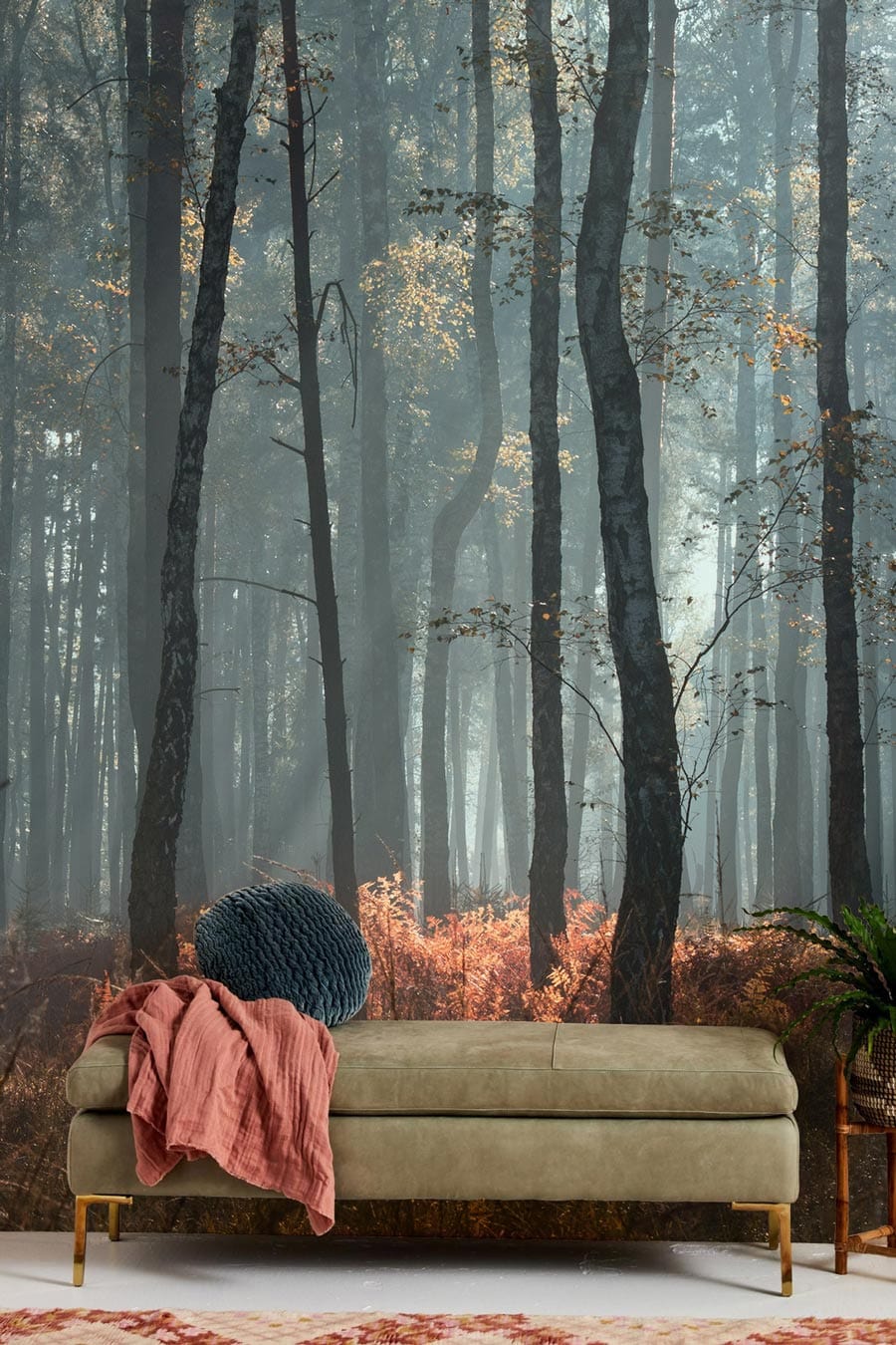 Enchanting Morning Mist Forest Mural Wallpaper in autumn hues, olive green sofa, cosy living room.