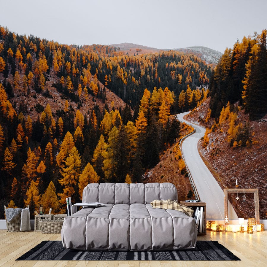 Autumn Forest Road mural wallpaper in a cosy living room with grey sofa and wooden flooring.