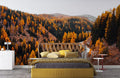 Winding Road Wallpaper Mural