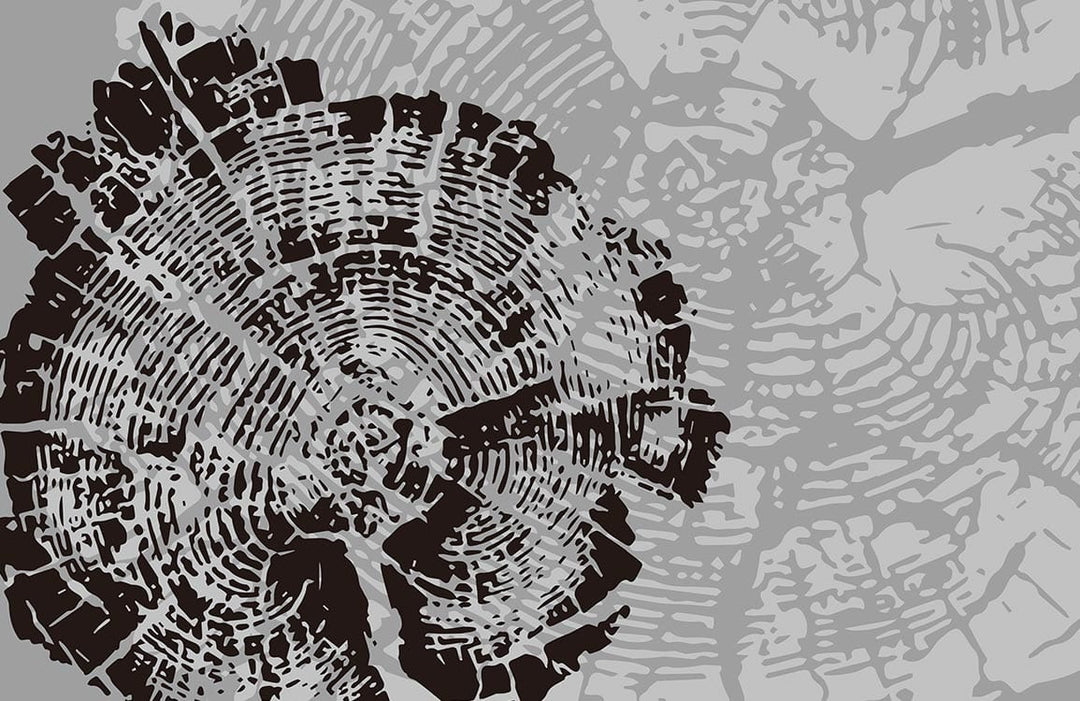 Grey and Black Tree Rings Modern Textured Nature Mural Wallpaper