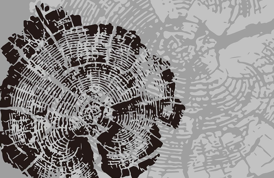 Grey and Black Tree Rings Modern Textured Nature Mural Wallpaper