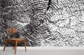 Cracked Wood Wallpaper Mural