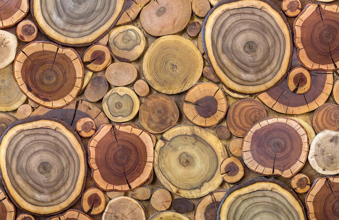 Rustic Natural Wood Slice Pattern Wallpaper - Earthy Tones, Nature-Inspired Design