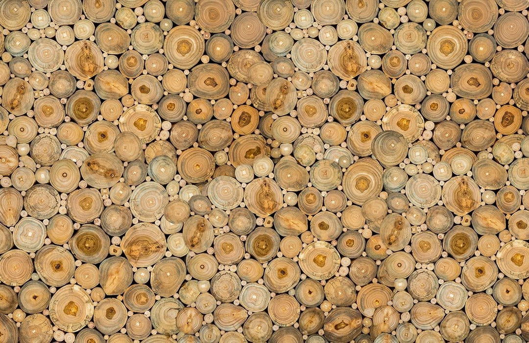 Rustic Earth Tones Log Slice Patterned Wallpaper for Nature-Inspired Interiors
