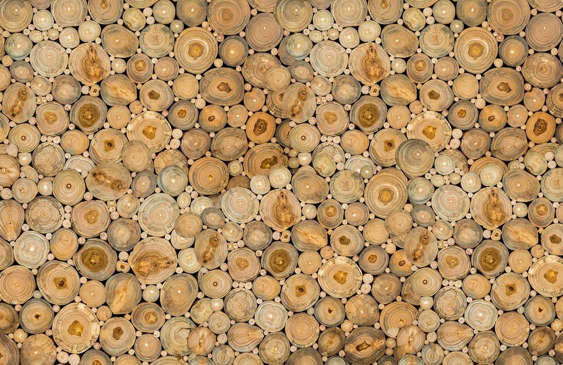 Rustic Earth Tones Log Slice Patterned Wallpaper for Nature-Inspired Interiors