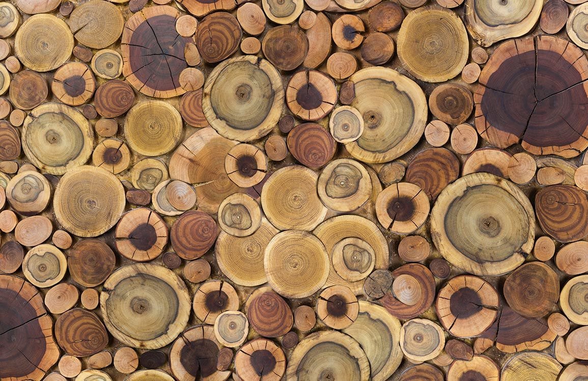 Rustic Natural Wood Log Slice Pattern Wallpaper Mural - Earthy Tones