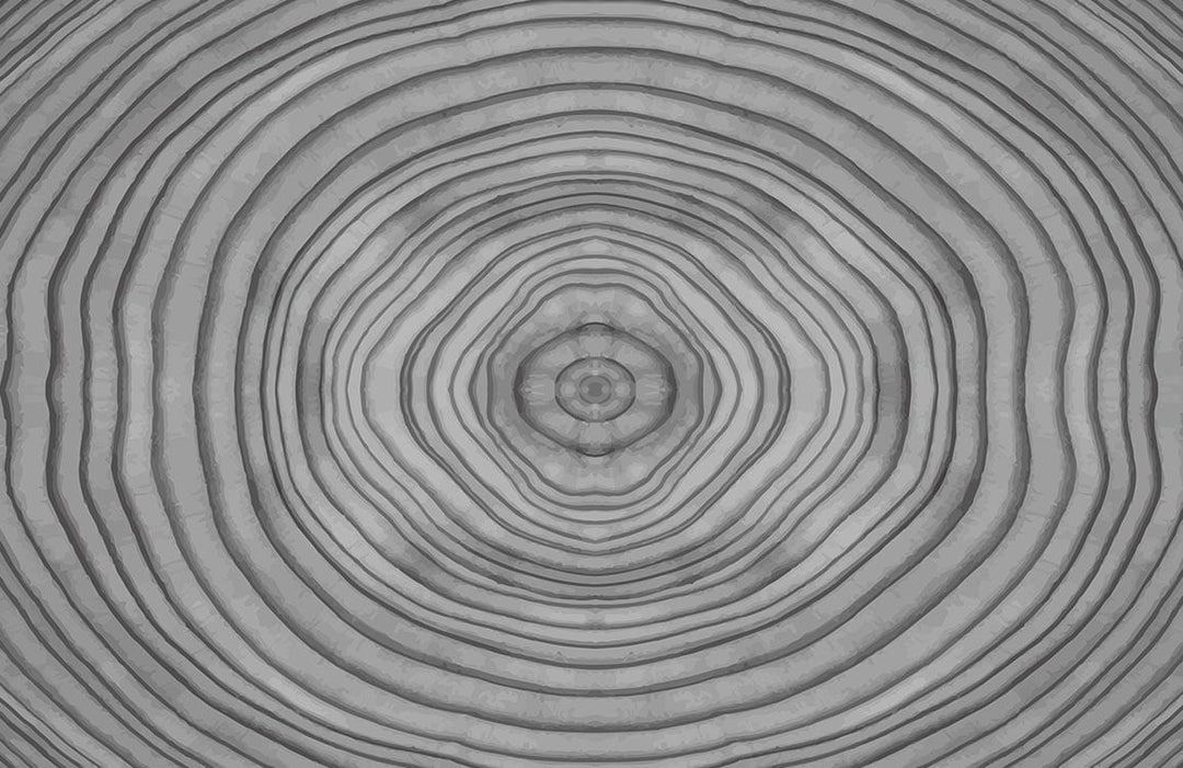 Grey Concentric Circles Abstract Patterned Wallpaper - Modern Geometric Style