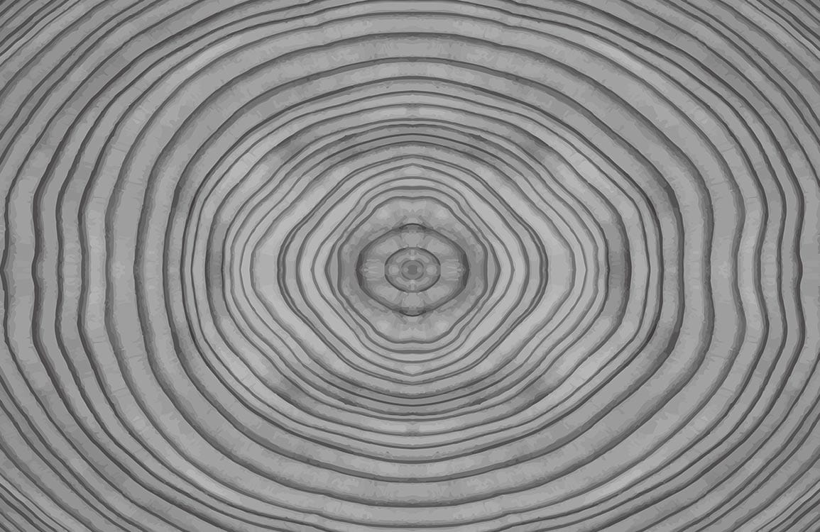 Grey Concentric Circles Abstract Patterned Wallpaper - Modern Geometric Style