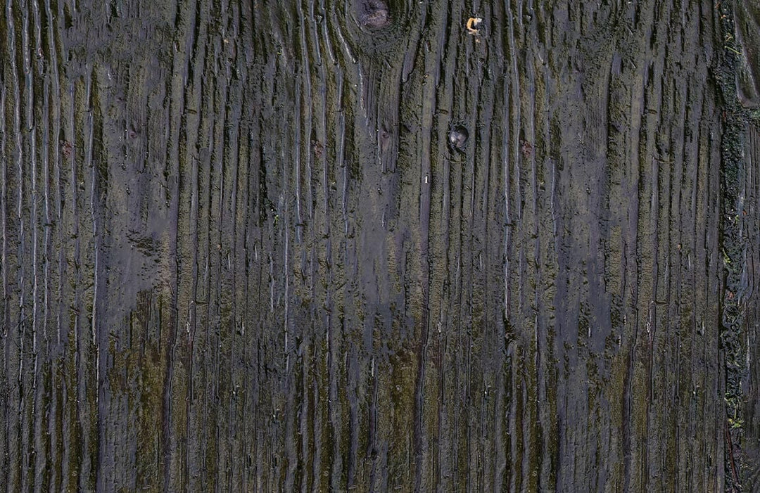 Rustic Charcoal Wood Texture Wallpaper - Dark Natural Grain Design Decor