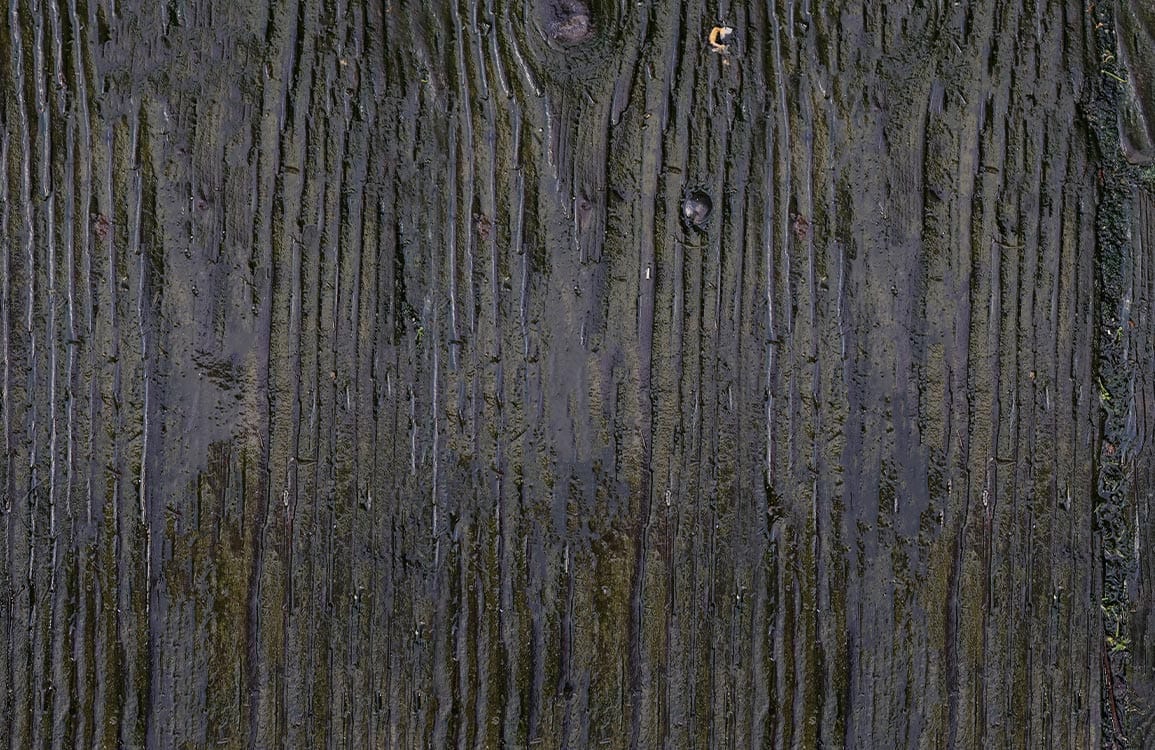 Rustic Charcoal Wood Texture Wallpaper - Dark Natural Grain Design Decor