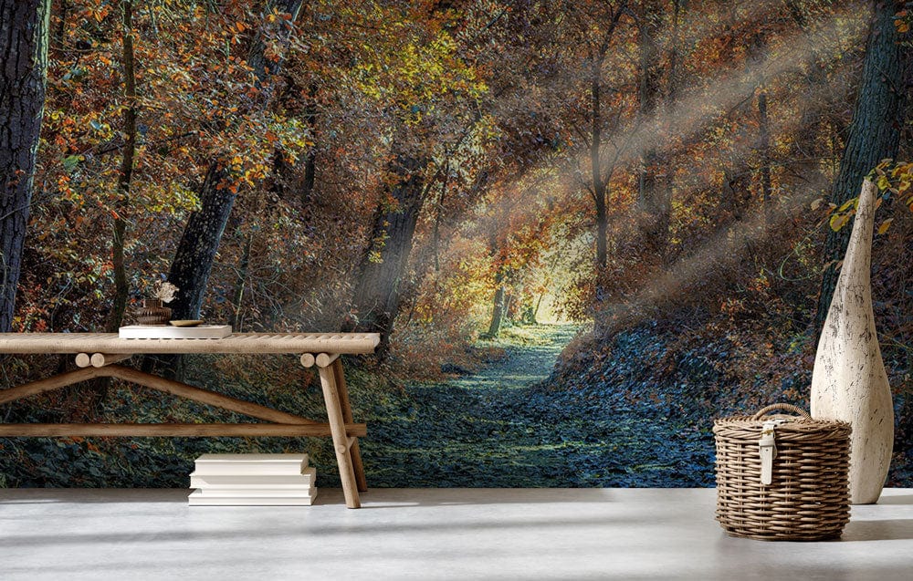 Enchanted Autumn mural wallpaper with sunlit forest; rustic bench; concrete flooring; serene woodland scene.