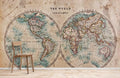 World Hemispheres Wallpaper Mural