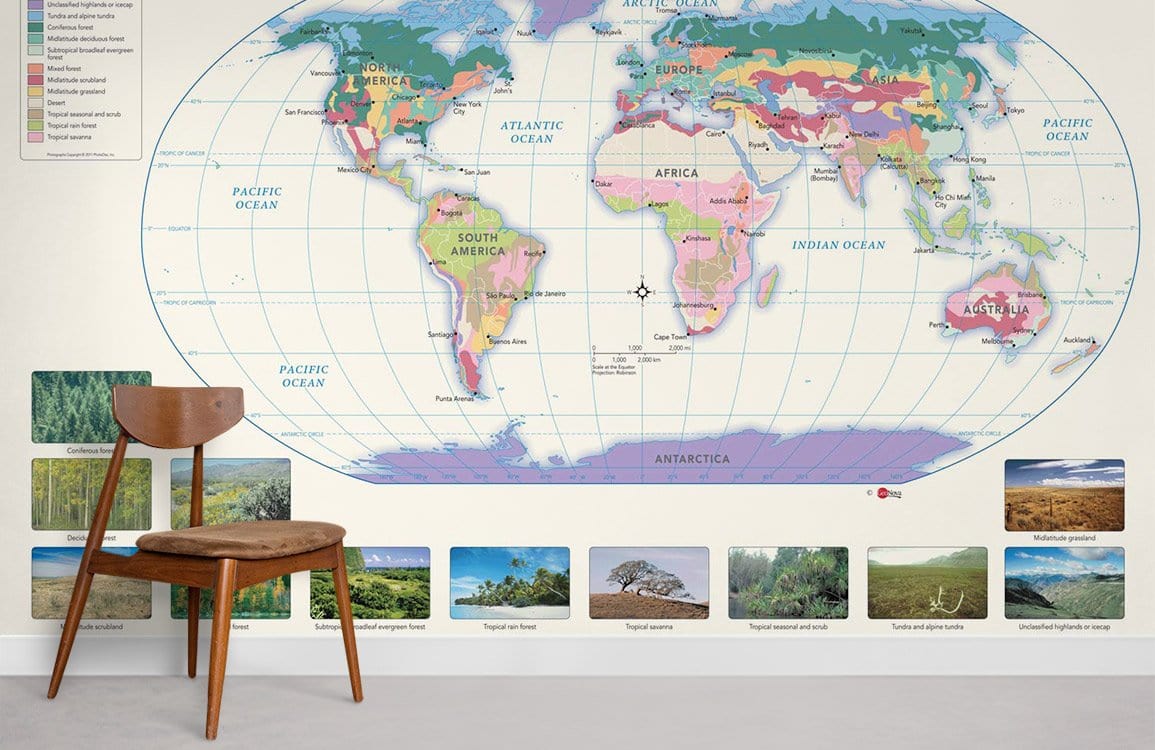 World Map Educational Mural Wallpaper with colourful geography, wooden chair, light grey carpet, educational decor.