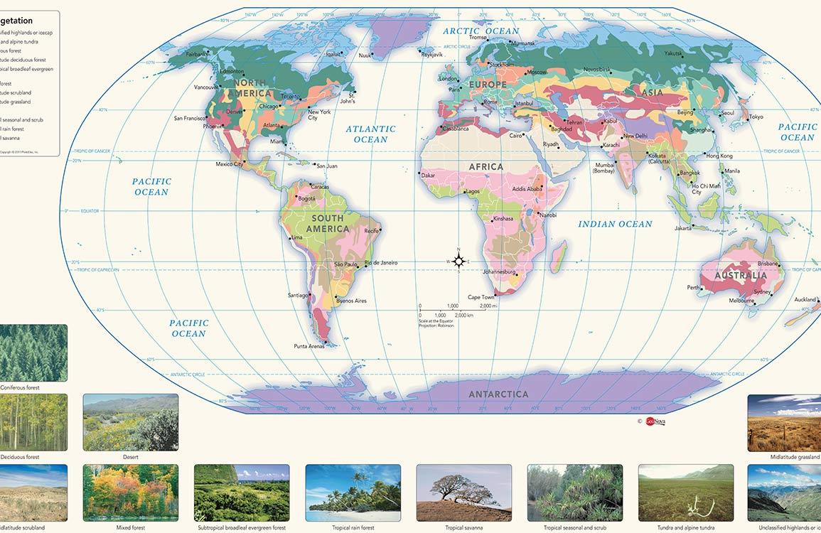 World Map Educational Mural Wallpaper with Colourful Geographic Details Design