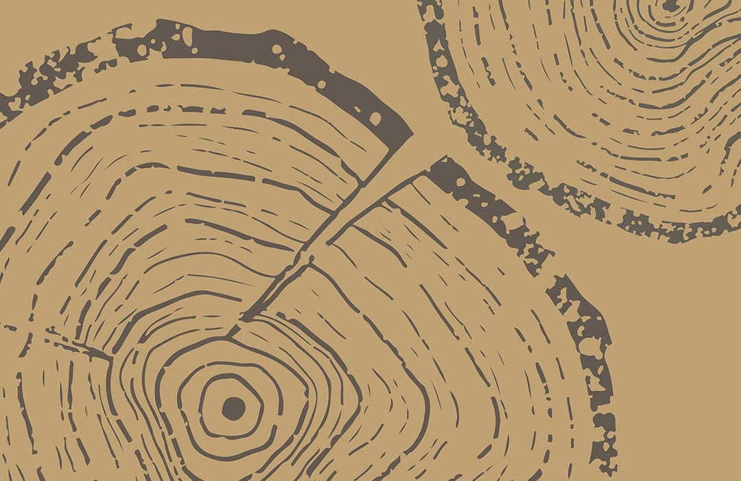 Vintage Woodgrain Timber Pattern Wallpaper in Earthy Brown Tones Style