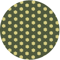 063-x